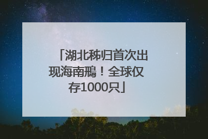 湖北秭归首次出现海南鳽！全球仅存1000只
