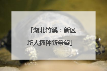 湖北竹溪：新区新人播种新希望