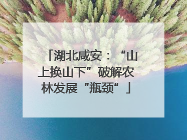 湖北咸安：“山上换山下”破解农林发展“瓶颈”