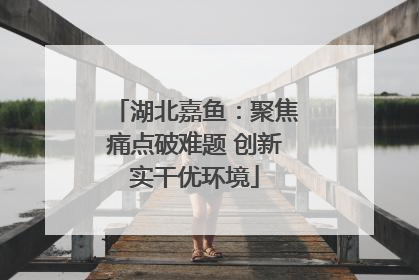 湖北嘉鱼：聚焦痛点破难题 创新实干优环境