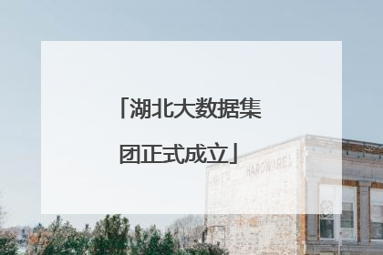 湖北大数据集团正式成立