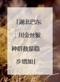 湖北巴东：川金丝猴种群数量稳步增加