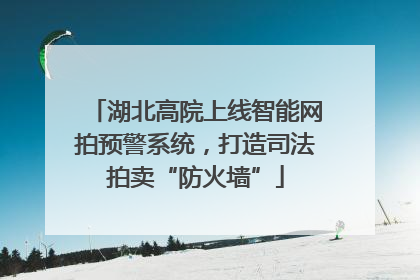湖北高院上线智能网拍预警系统，打造司法拍卖“防火墙”