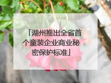 湖州推出全省首个童装企业商业秘密保护标准