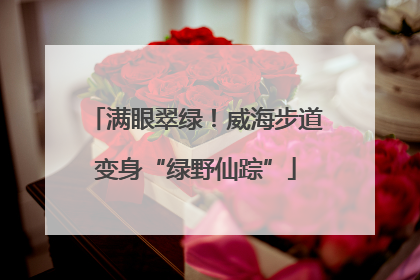满眼翠绿！威海步道变身“绿野仙踪”