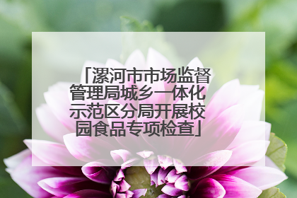 漯河市市场监督管理局城乡一体化示范区分局开展校园食品专项检查