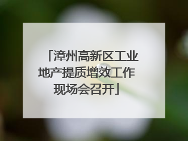 漳州高新区工业地产提质增效工作现场会召开