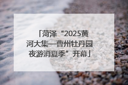 菏泽“2025黄河大集—曹州牡丹园夜游消夏季”开幕