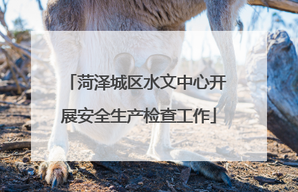菏泽城区水文中心开展安全生产检查工作