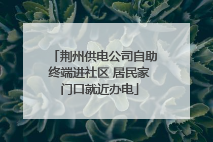 荆州供电公司自助终端进社区 居民家门口就近办电