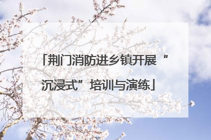 荆门消防进乡镇开展“沉浸式”培训与演练