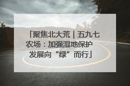 聚焦北大荒｜五九七农场：加强湿地保护 发展向“绿”而行