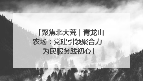 聚焦北大荒｜青龙山农场：党建引领聚合力 为民服务践初心