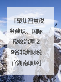聚焦智慧税务建设、国际税收治理 29名非洲财税官湖南取经