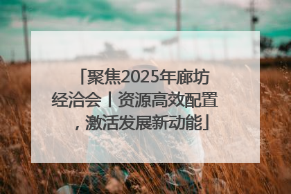聚焦2025年廊坊经洽会丨资源高效配置，激活发展新动能
