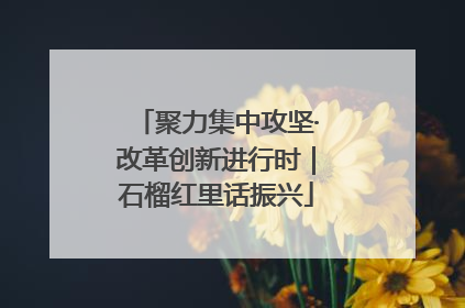聚力集中攻坚·改革创新进行时｜石榴红里话振兴