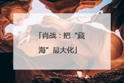 肖战：把“藏海”最大化