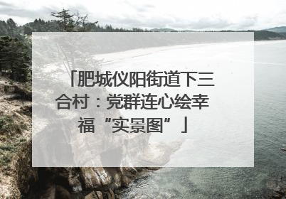 肥城仪阳街道下三合村：党群连心绘幸福“实景图”