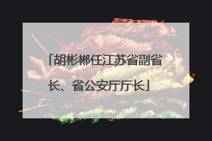 胡彬郴任江苏省副省长、省公安厅厅长