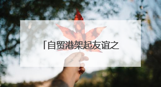 自贸港架起友谊之桥 中美青少年海南开启文化对话之旅