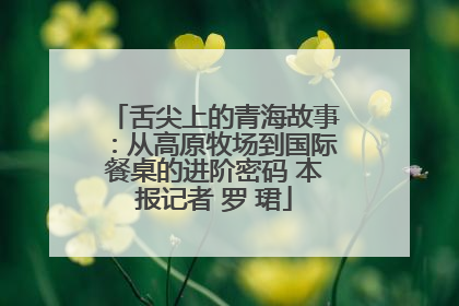 舌尖上的青海故事：从高原牧场到国际餐桌的进阶密码 本报记者 罗 珺
