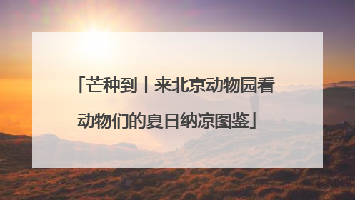 芒种到丨来北京动物园看动物们的夏日纳凉图鉴