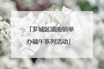 芗城区浦南镇举办端午系列活动