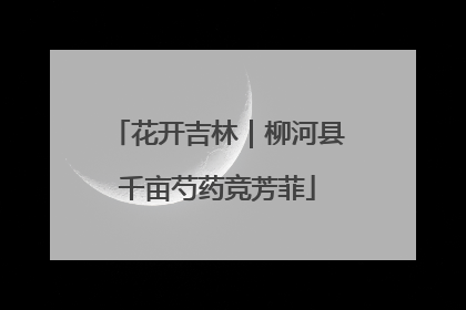 花开吉林｜柳河县千亩芍药竞芳菲