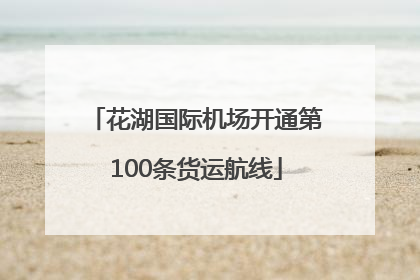 花湖国际机场开通第100条货运航线