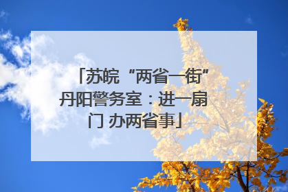 苏皖“两省一街”丹阳警务室：进一扇门 办两省事