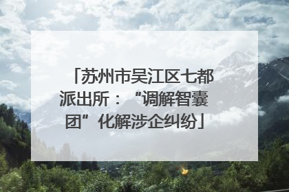 苏州市吴江区七都派出所：“调解智囊团”化解涉企纠纷