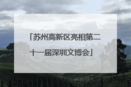 苏州高新区亮相第二十一届深圳文博会