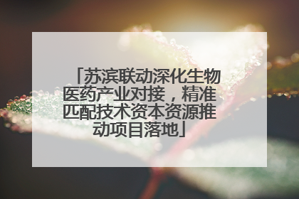 苏滨联动深化生物医药产业对接，精准匹配技术资本资源推动项目落地