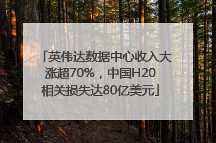 英伟达数据中心收入大涨超70%，中国H20相关损失达80亿美元