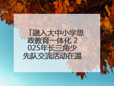 融入大中小学思政教育一体化 2025年长三角少先队交流活动在温岭举办