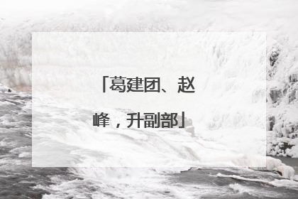 葛建团、赵峰，升副部