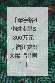 董宇辉4小时卖出3800万元，潜江龙虾火爆“出圈”
