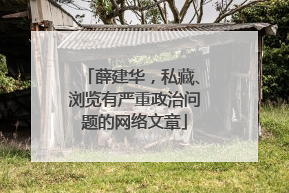 薛建华，私藏、浏览有严重政治问题的网络文章