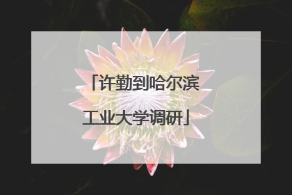 许勤到哈尔滨工业大学调研