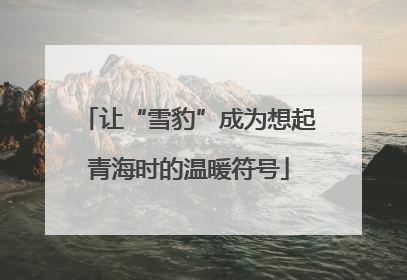 让“雪豹”成为想起青海时的温暖符号