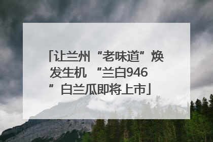让兰州“老味道”焕发生机 “兰白946”白兰瓜即将上市