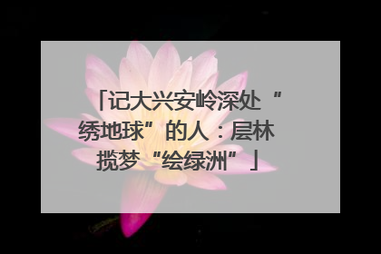 记大兴安岭深处“绣地球”的人：层林揽梦“绘绿洲”