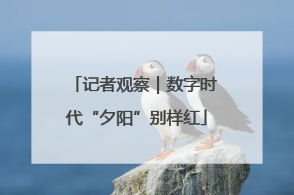 记者观察｜数字时代“夕阳”别样红