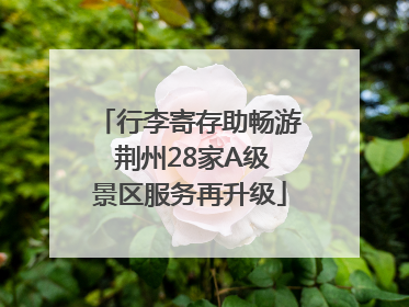 行李寄存助畅游 荆州28家A级景区服务再升级