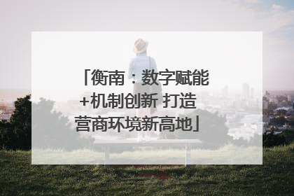 衡南：数字赋能+机制创新 打造营商环境新高地