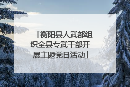 衡阳县人武部组织全县专武干部开展主题党日活动