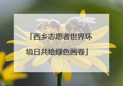 西乡志愿者世界环境日共绘绿色画卷