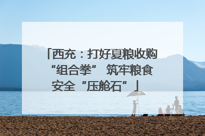 西充：打好夏粮收购“组合拳” 筑牢粮食安全“压舱石”