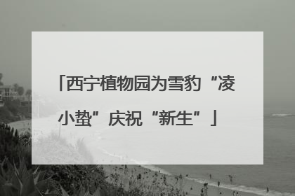 西宁植物园为雪豹“凌小蛰”庆祝“新生”
