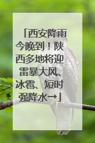 西安降雨今晚到！陕西多地将迎雷暴大风、冰雹、短时强降水→